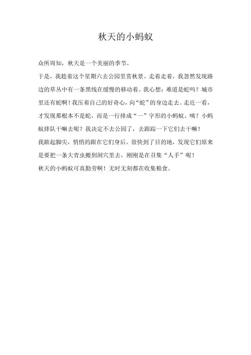 三年级状物秋天的小蚂蚁