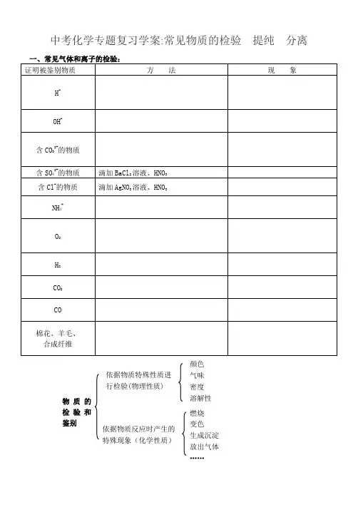 中考化学专题复习学案常见物质的检验提纯分离