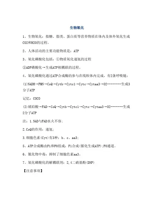 医学知识之生物氧化