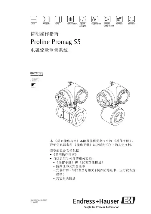 E+H电磁流量计设置