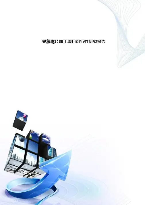 果蔬脆片加工项目可行性研究报告-D