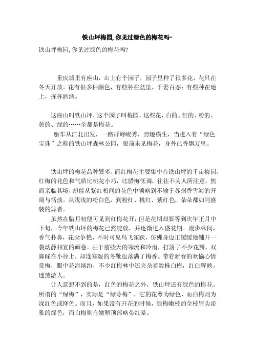 铁山坪梅园,你见过绿色的梅花吗-