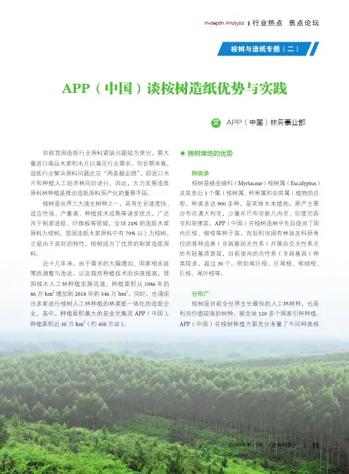 APP（中国）谈桉树造纸优势与实践