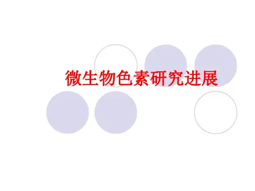 微生物色素研究进展
