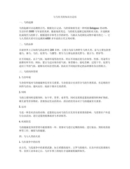 与马有关的知识点总结