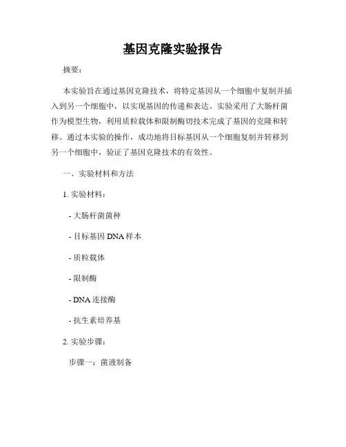 基因克隆实验报告