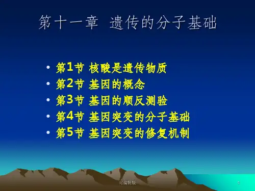 遗传的分子基础(5)