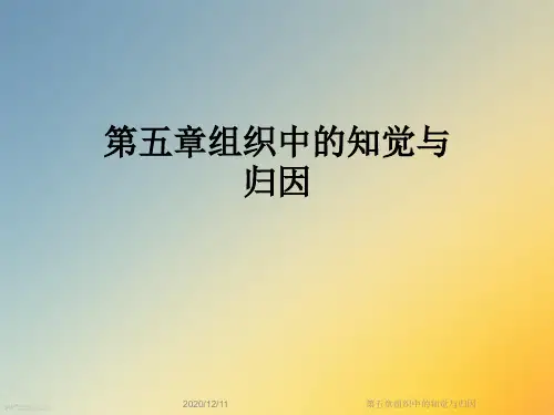 第五章组织中的知觉与归因
