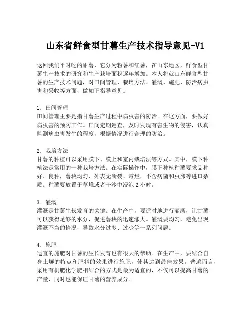 山东省鲜食型甘薯生产技术指导意见-V1