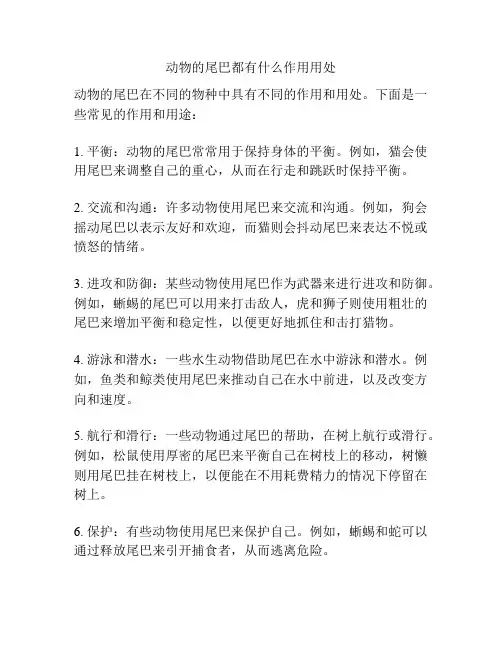 动物的尾巴都有什么作用用处