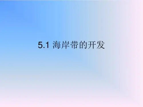 海岸带的开发ppt3 人教课标版