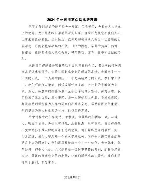2024年公司团建活动总结精编（三篇）