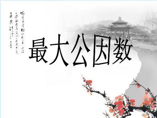 5.最大公因数和约分