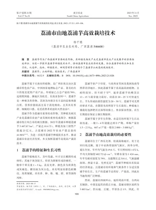 荔浦市山地荔浦芋高效栽培技术