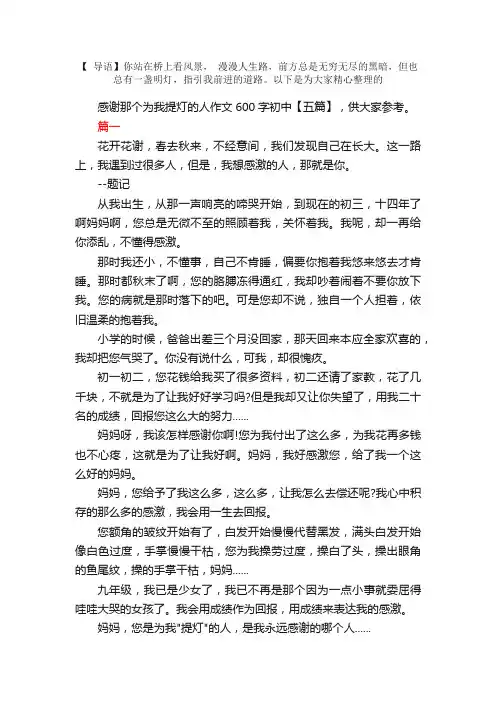 感谢那个为我提灯的人作文600字初中【五篇】