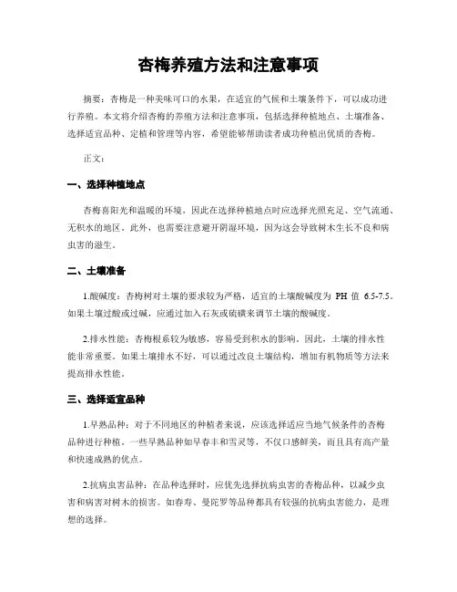 杏梅养殖方法和注意事项