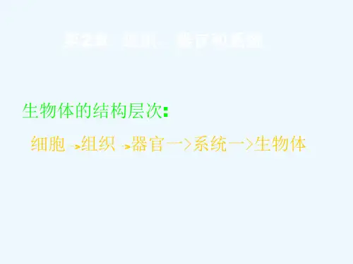第2章 组织、器官