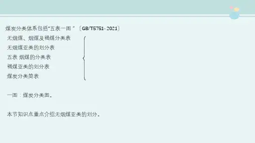 煤化工技术专业《无烟煤亚类的划分》