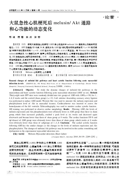 大鼠急性心肌梗死后melusin_Akt通路和心功能的动态变化