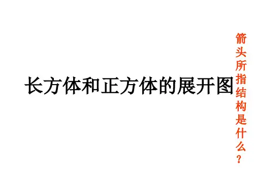 正方体和长方体的展开图