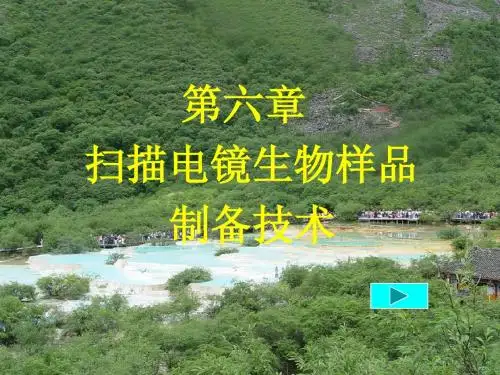 11.第六章 扫描电镜样品制备技术