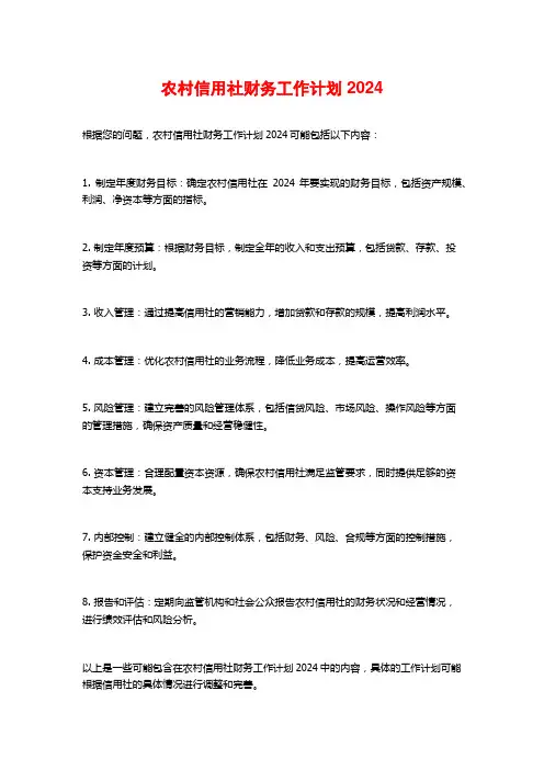 农村信用社财务工作计划2024