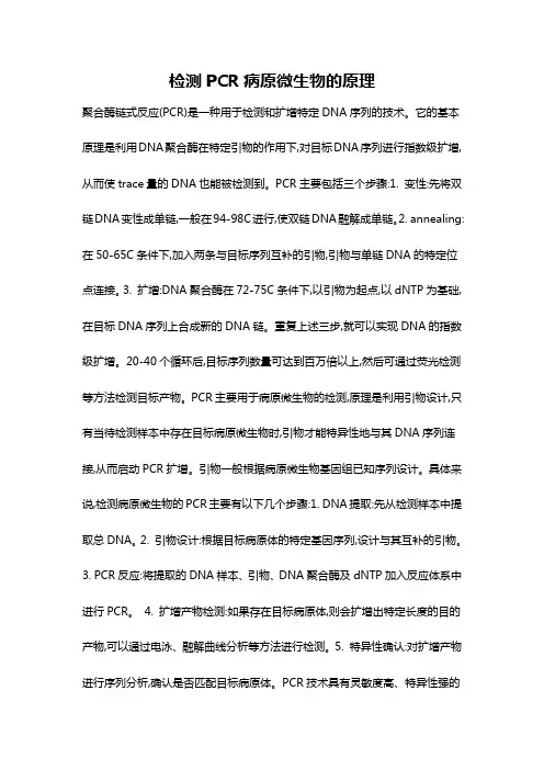 检测PCR病原微生物的原理