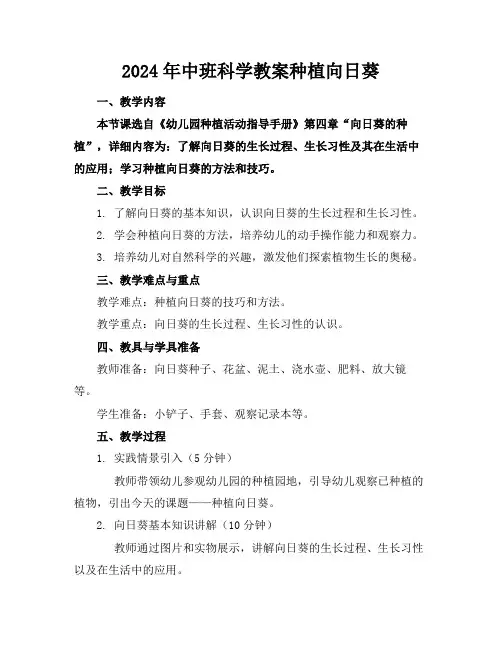 2024年中班科学教案种植向日葵
