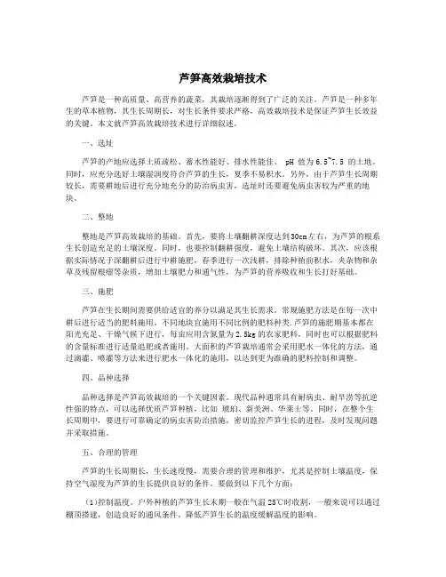 芦笋高效栽培技术