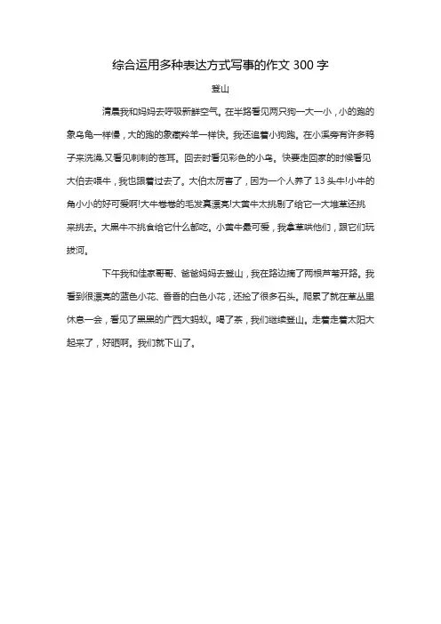 综合运用多种表达方式写事的作文300字