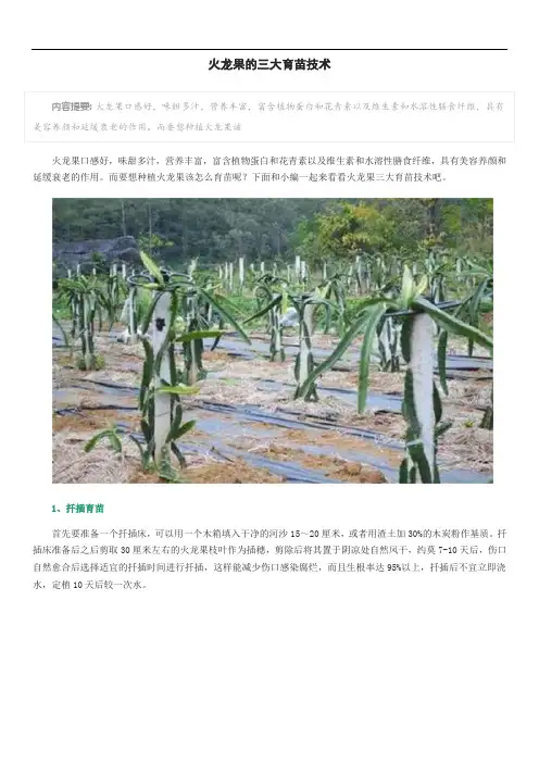 火龙果的三大育苗技术