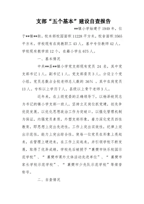 支部“五个基本”建设自查报告
