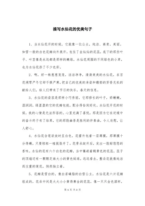 描写水仙花的优美句子