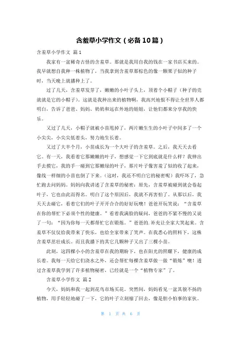 含羞草小学作文(必备10篇)