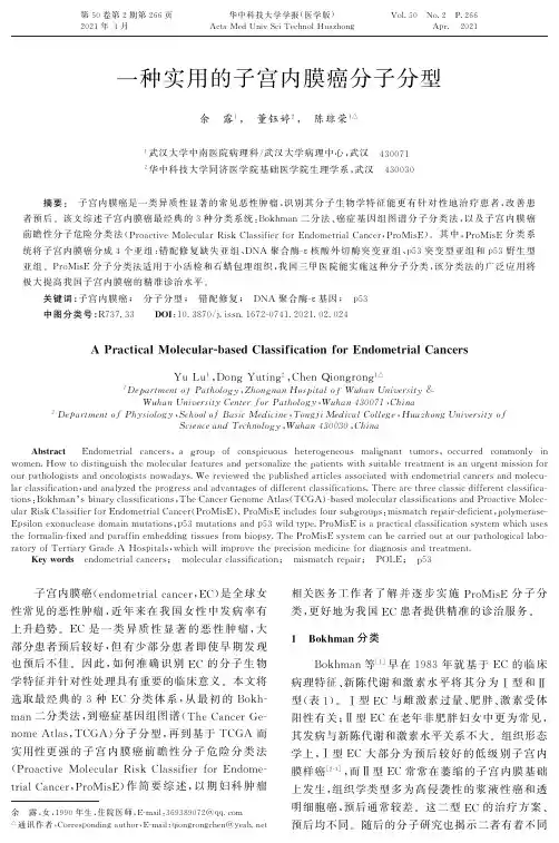一种实用的子宫内膜癌分子分型