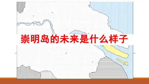 问题研究 崇明岛的未来是什么样子8