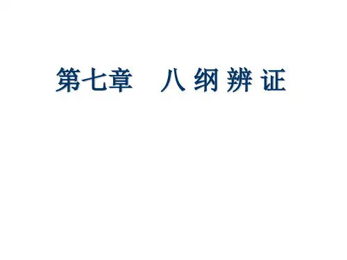 八纲辨证