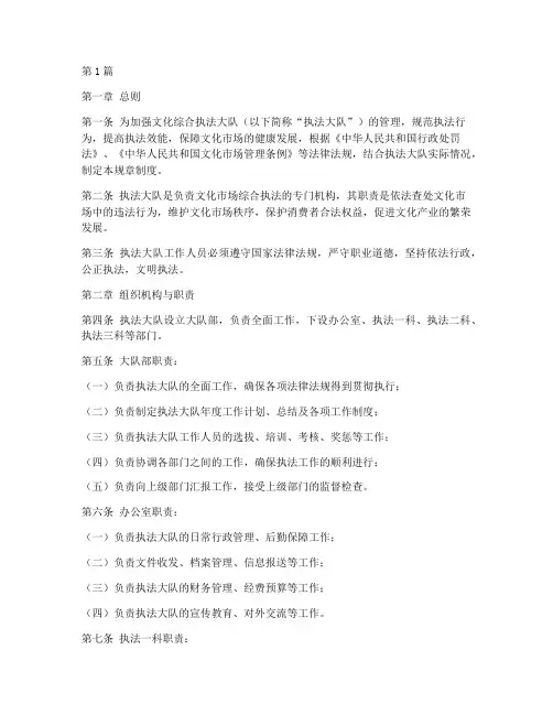 文化综合执法大队规章制度(3篇)