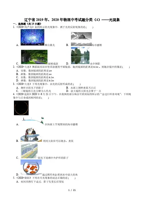 辽宁省2019年、2020年物理中考试题分类(4)——光现象(含解析)