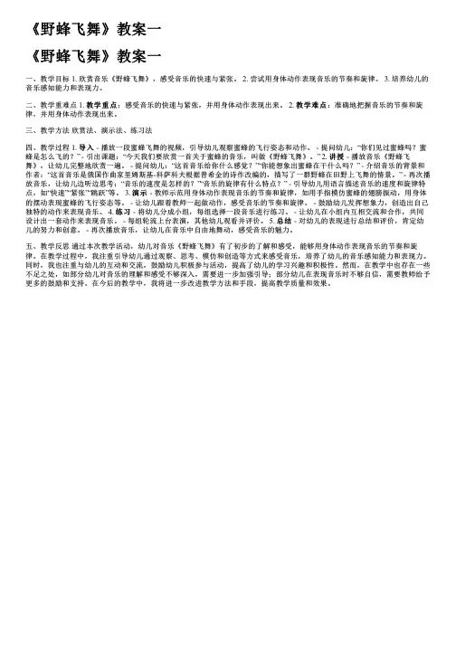 《野蜂飞舞》教案一