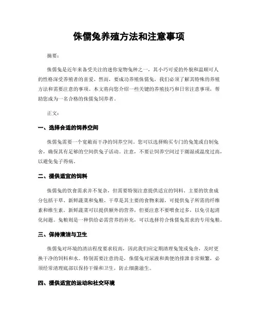 侏儒兔养殖方法和注意事项