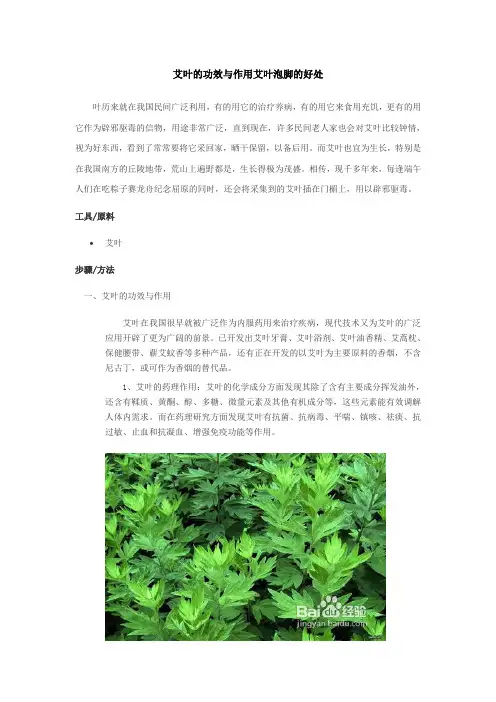 艾叶的功效与作用艾叶泡脚的好处