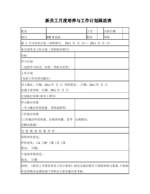 新员工月度培养与工作计划跟进表