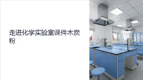 走进化学实验室课件木炭粉