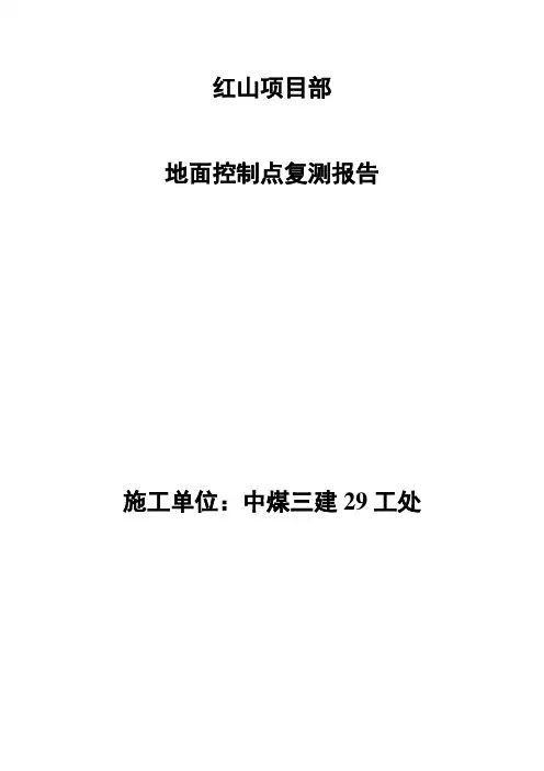 控制点复测报告