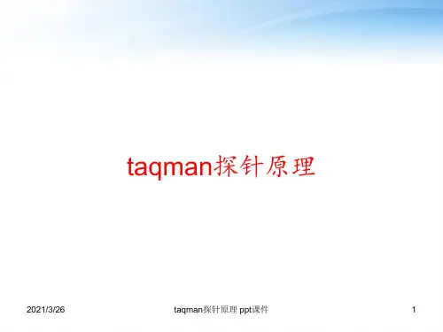 taqman探针原理 ppt课件