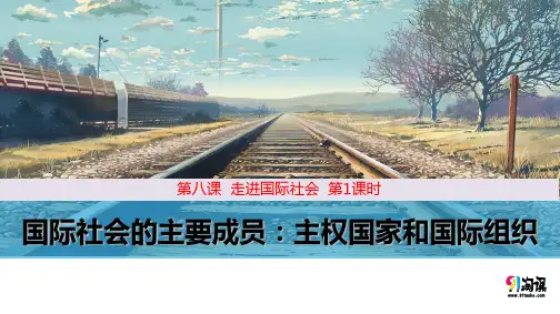 原创3：8.1 国际社会的主要成员：主权国家和国际组织