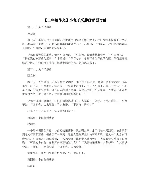 【二年级作文】小兔子采蘑菇看图写话