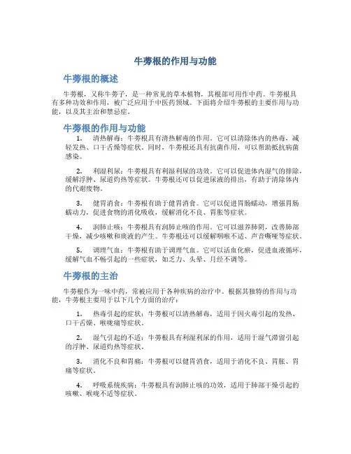 牛蒡根的作用与功能主治及禁忌症