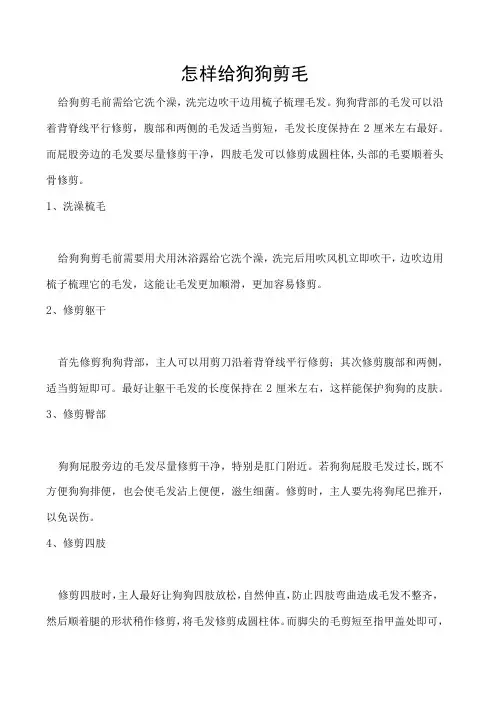 怎样给狗狗剪毛